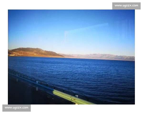 眼泪藏热爱！新疆小巴郎为津门虎呐喊